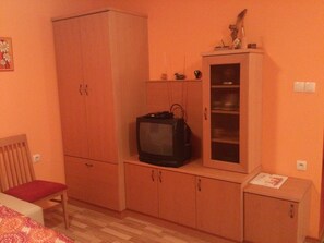 Ferienhaus | Fernseher
