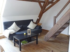 TV, fireplace, DVD player, ping pong