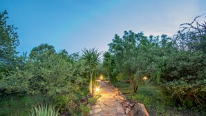 Un sendero de piedra que atraviesa un jardín con diversas plantas y árboles.