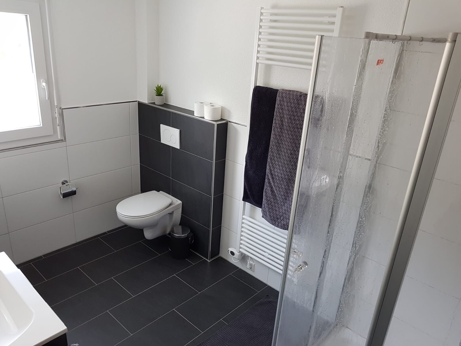 Un baño moderno con inodoro, ducha y radiador.