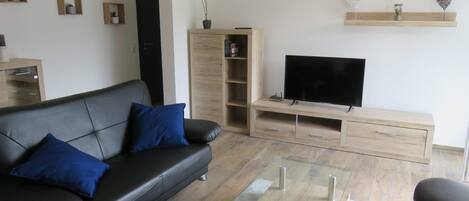 智能電視、書籍