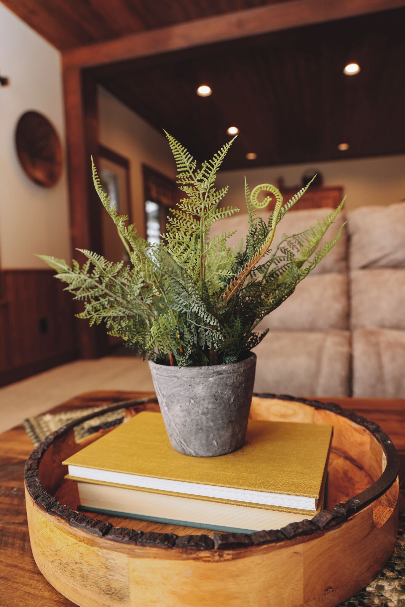 A potted fern on a wooden tray with a book, set on a wooden table in a room with a wooden ceiling and a cushioned bench in the background.