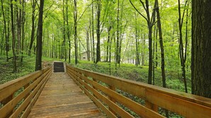 Une promenade en bois traverse une forêt où s’élèvent de grands arbres, et on aperçoit un petit bâtiment au loin.
