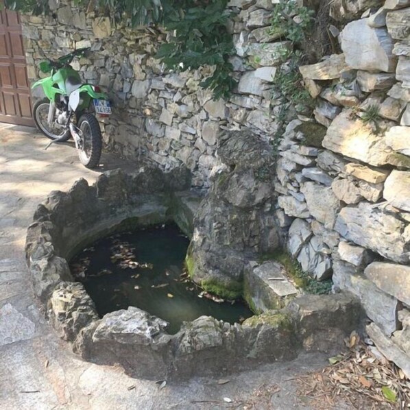 Fuente