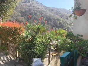 Exterior - Villa Amalia (Rapallo)