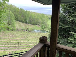 Property grounds - The Farmhouse - Mountain Vineyard Getaway on the Highlands Plateau (Scaly Mountain)