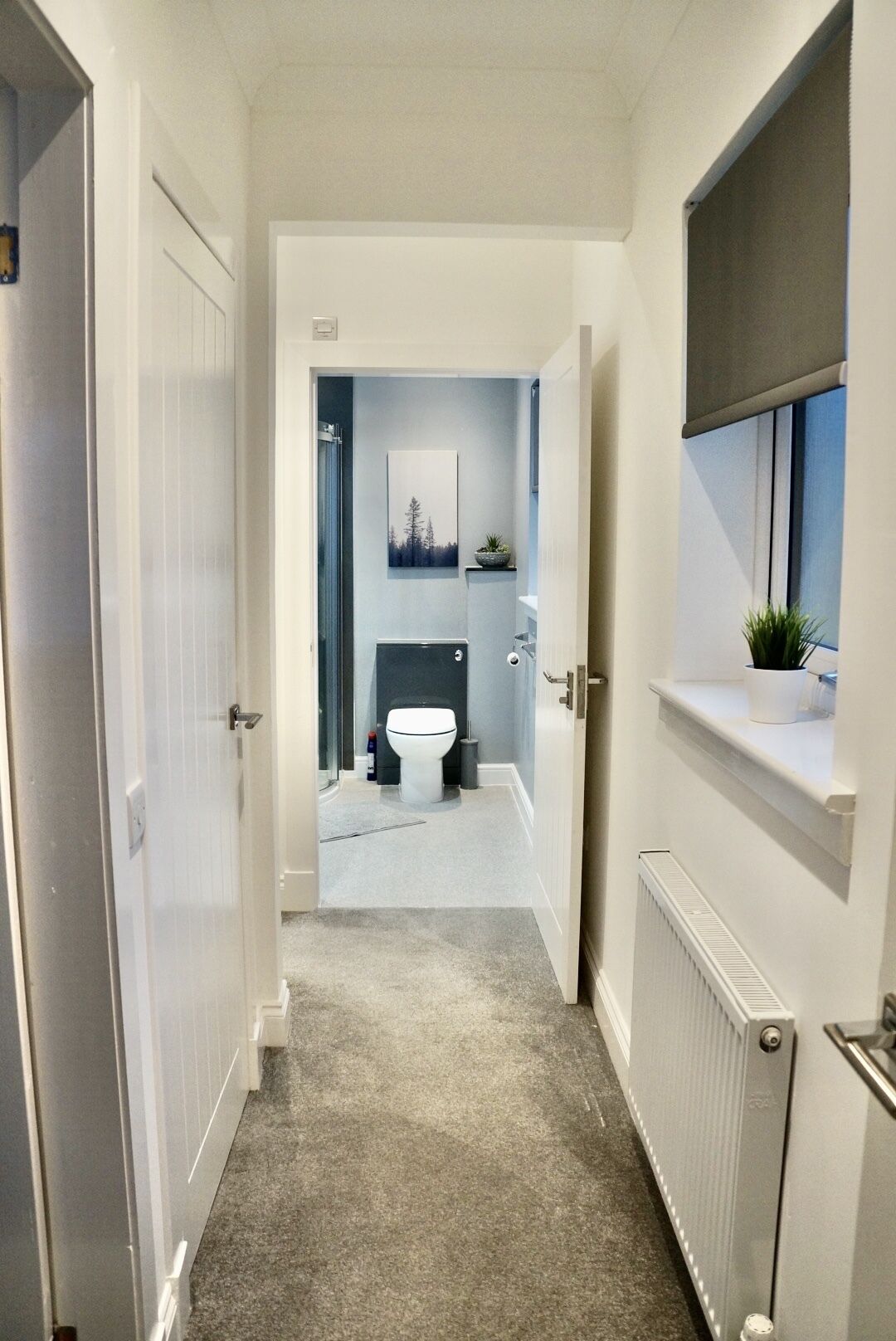 Shower, free toiletries, hair dryer, toilet paper