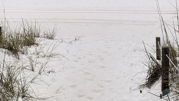 Beach - A Few Steps to the Beach, at this Hidden Gem in Panama City Beach Fl. Unit-6 (Panama City Beach)