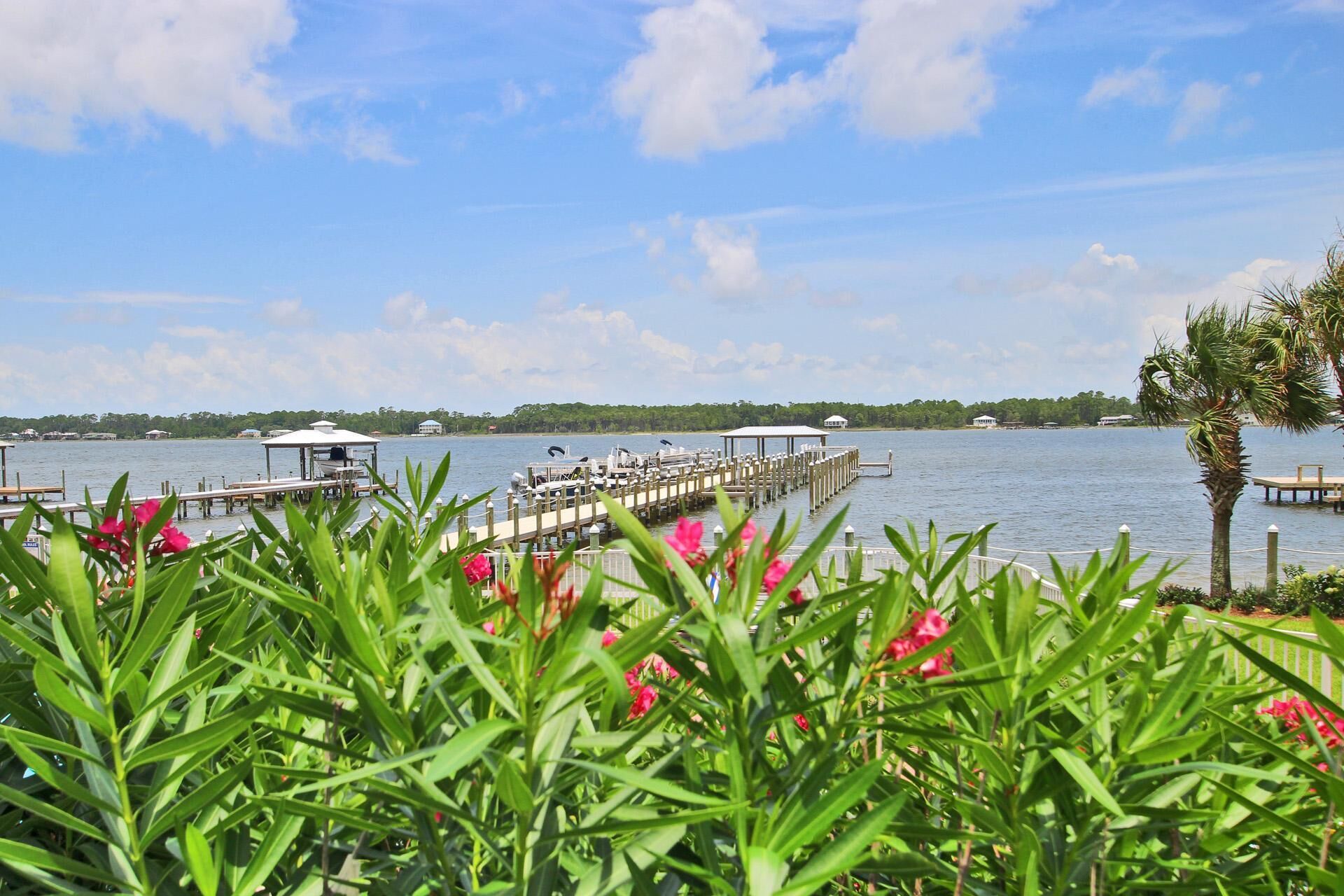 A marina with docked boats, a pier extending into the water, and a backdrop of trees and buildings.
