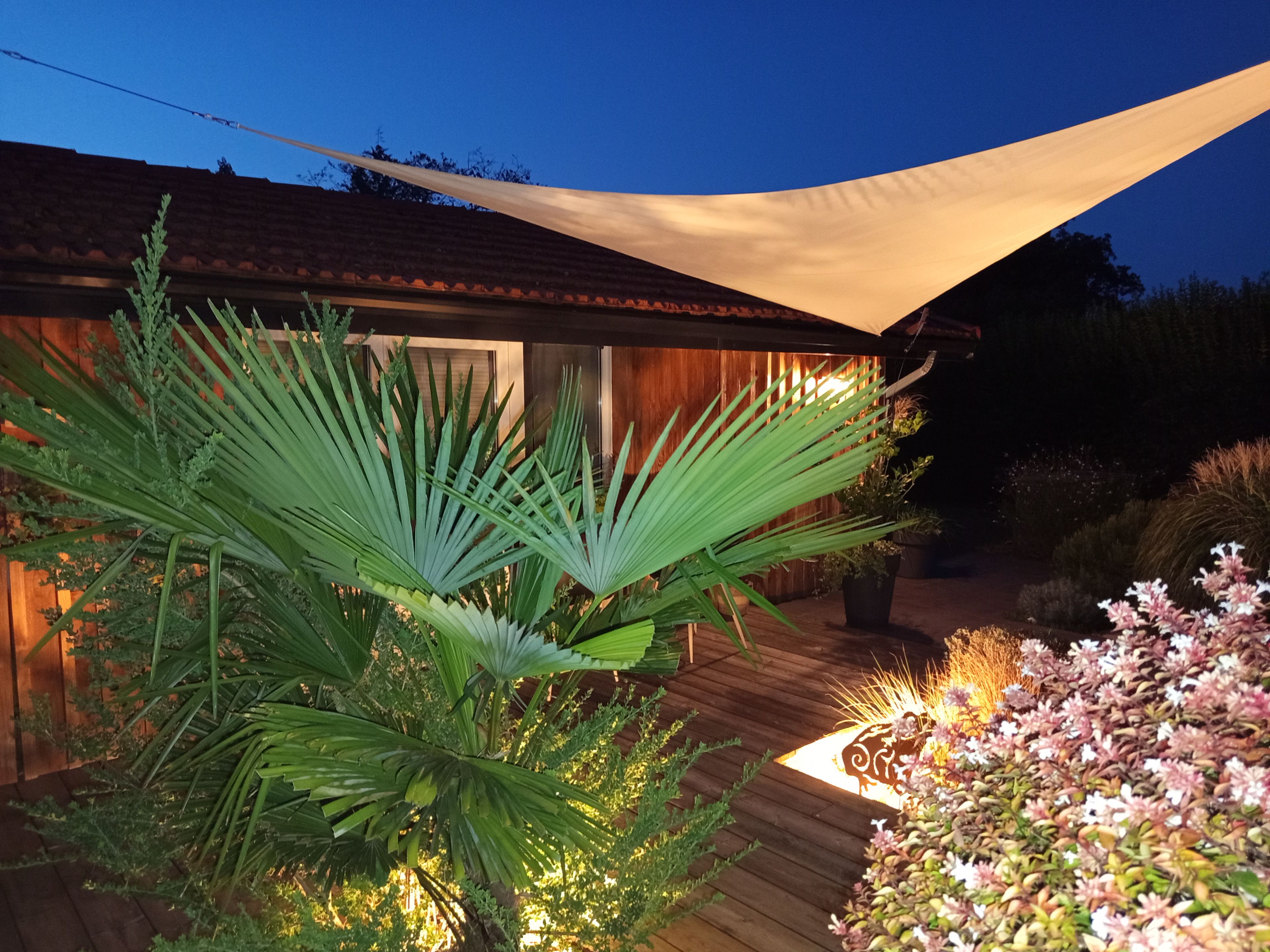 Una terraza de madera con una palmera grande y plantas con flores, que conduce a un edificio con techo inclinado.