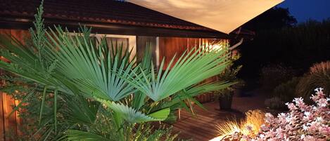 Una terraza de madera con una palmera grande y plantas con flores, que conduce a un edificio con techo inclinado.