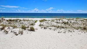 Ein Strand mit weißem Sand und vereinzelter Vegetation, der zum Meer führt.