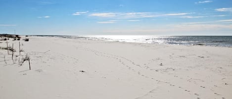Kondominium, Beberapa Tempat Tidur (Gulf Shores Plantation 1369) | Pantai