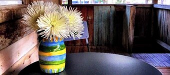 The Post Office Cabin, near Mercy Hotsprings.