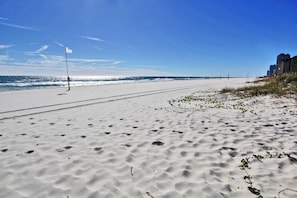 Condo, 1 King Bed with Sofa bed (Tradewinds 807) | Beach | On the beach - Tradewinds 807 (Orange Beach)