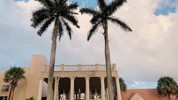 Un edificio de estilo arquitectónico clásico, con una entrada central con columnas y barandilla. Palmeras destacadas frente al edificio.