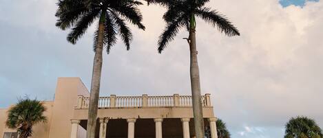 A building with a classical architectural style, featuring a central entrance with columns and a balustrade. Palm trees are prominently displayed in front of the building.
