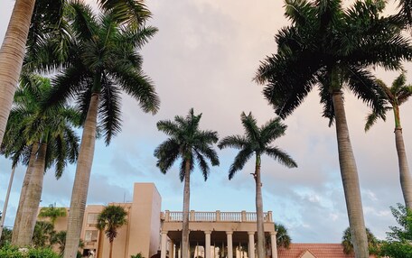 A building with a classical architectural style, featuring columns and a balcony. Palm trees are prominently displayed around the building.