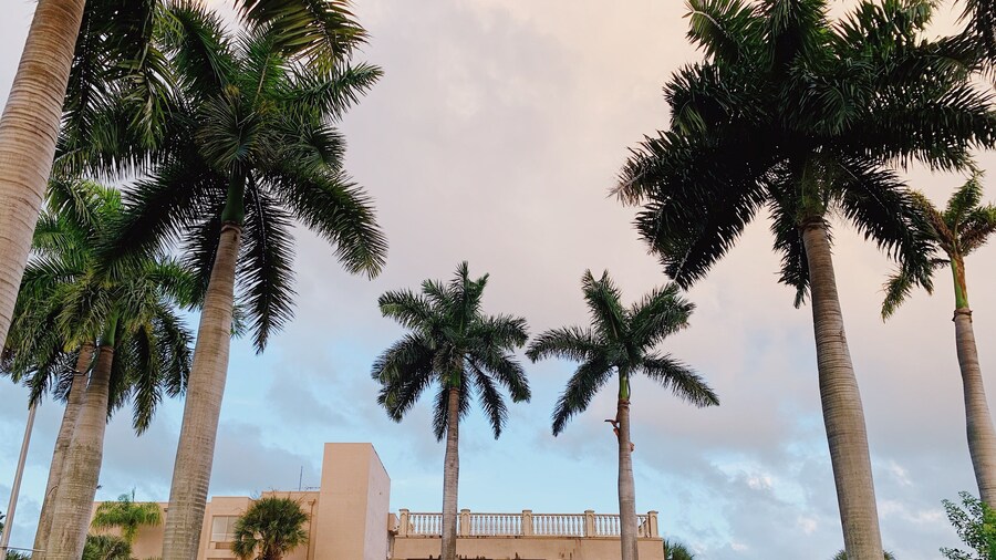 Miami Gardens Inn & Suites