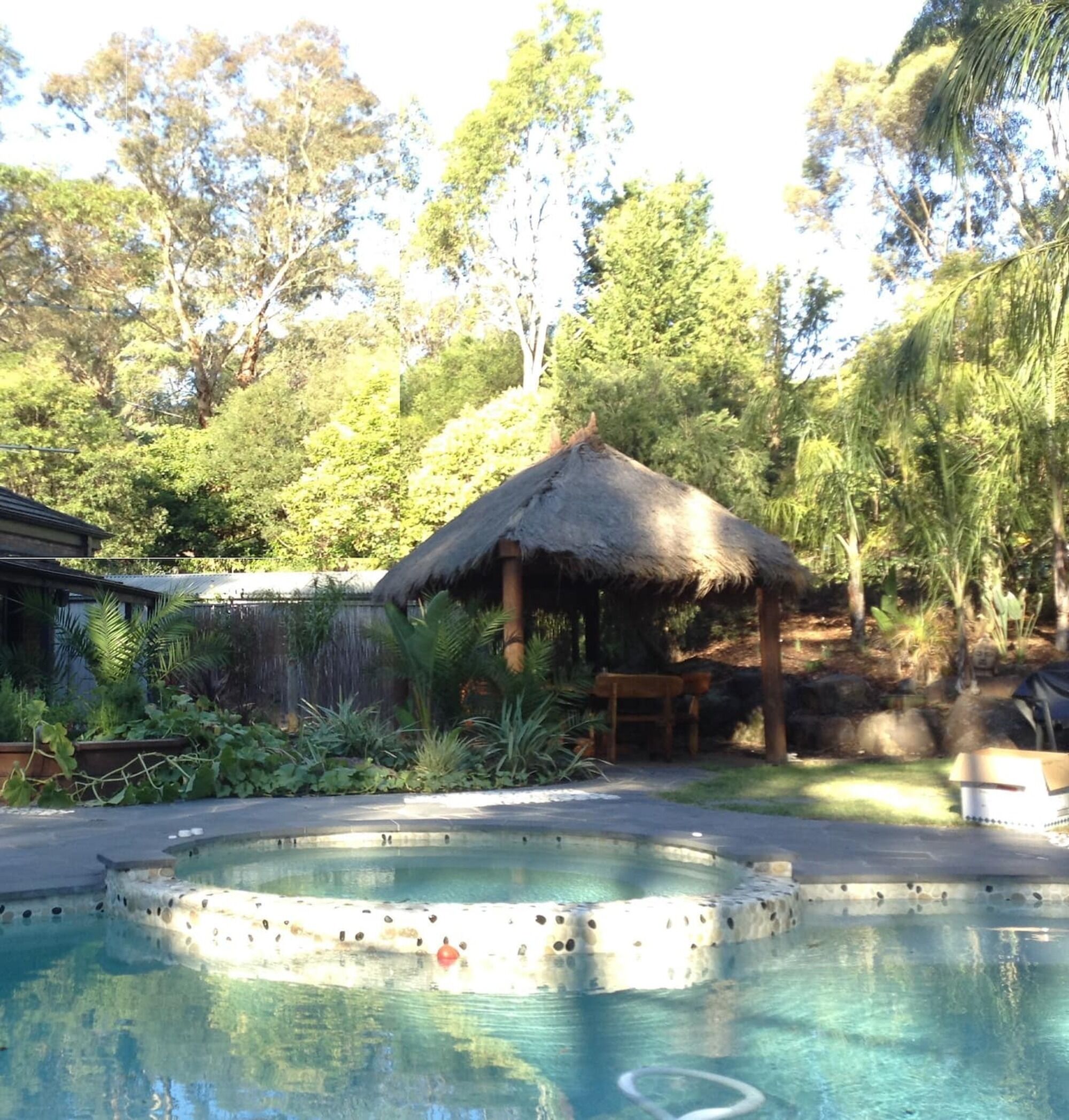 A swimming pool with a thatched-roof hut, surrounded by lush greenery and trees.