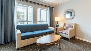 TV, fireplace, video games, music library