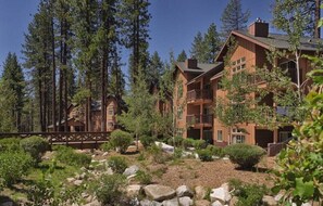A lodge with multiple wooden buildings surrounded by tall pine trees.