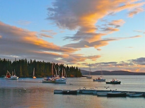 Jachthaven
