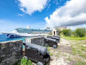 A cruise ship named Coral Princess docked near a historic fort with cannons. - Spacious Villa Near Beach (Jan Thiel)