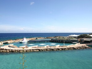Outdoor pool - Sea View Villa by the Mambo Beach With Private Pool (Willemstad)