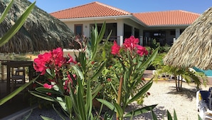 A resort with a red-tiled roof, thatched-roof structures, and a pool area. - Magnificent Villa near Beach in Upscale District of Vista Royal, Jan Thiel (Jan Thiel)