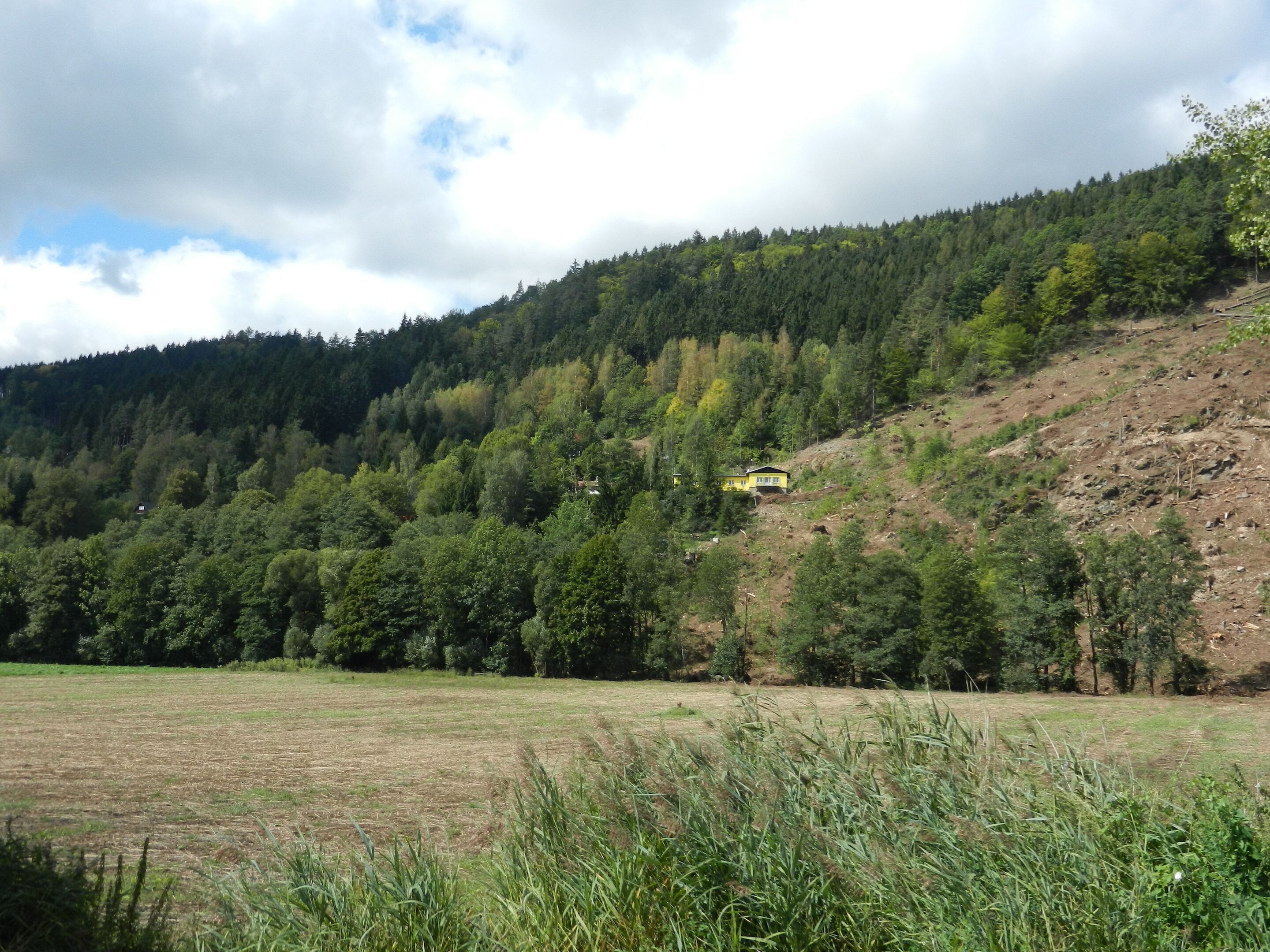 A rural landscape with a house on a hillside, surrounded by dense forest and open fields.