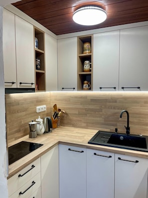 House | Private kitchen - Lovely Apartment in Svinarov Czech Republic near Forest (Slabce)