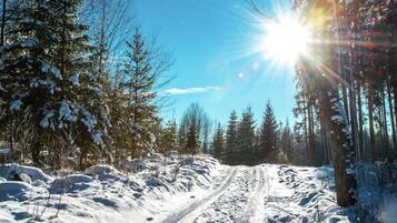 A snowy forest path with a clear sky and sunlight filtering through the trees.