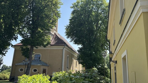 Un edificio con fachada amarilla, una ventana a la vista y un árbol en la parte delantera.