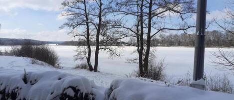 House | View from property