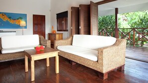 DVD player - Tropical Villa With Swimming Pool in Jan Thiel (Jan Thiel)