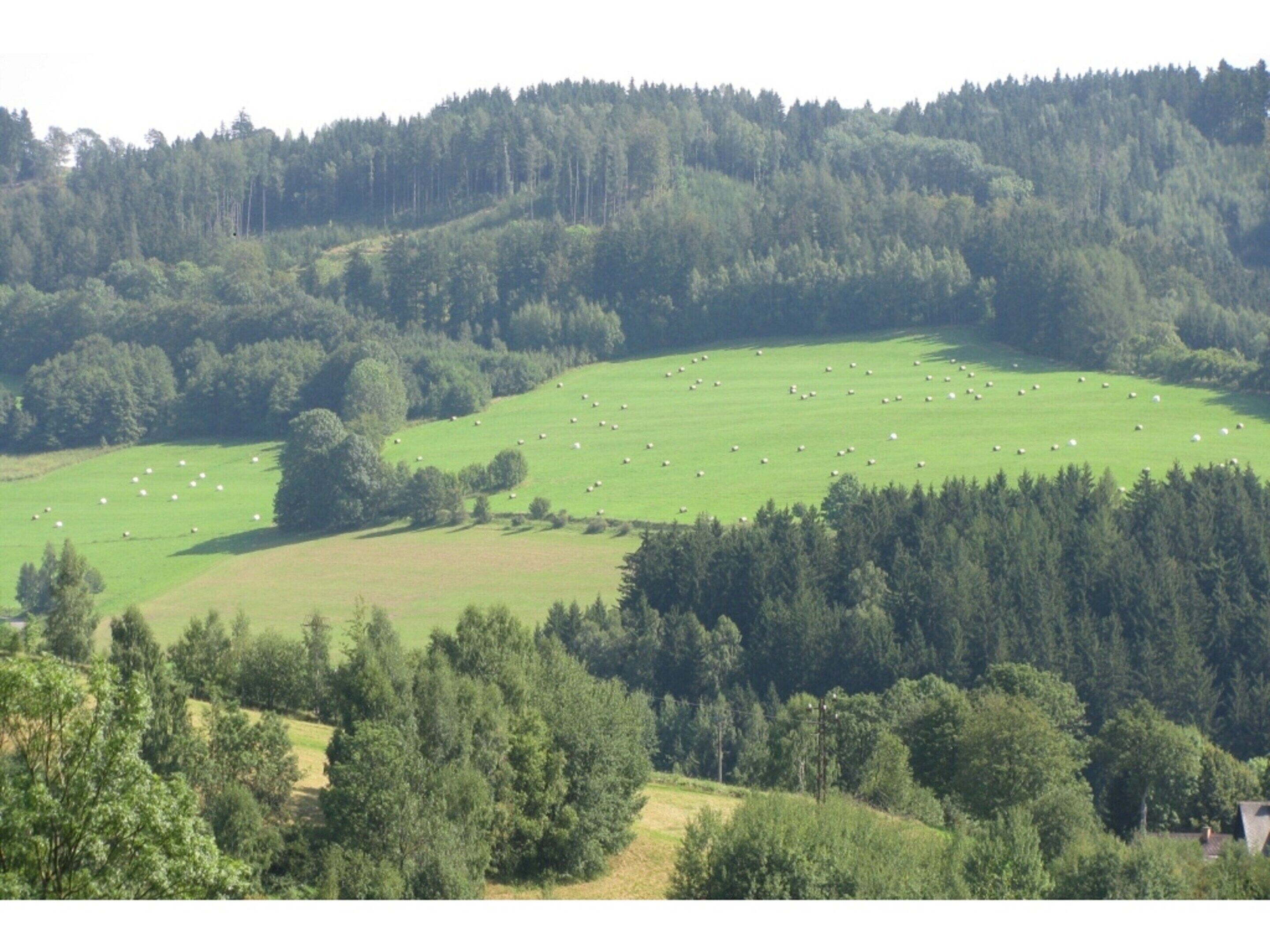 A rural landscape with a large green field and a forested hill in the background.