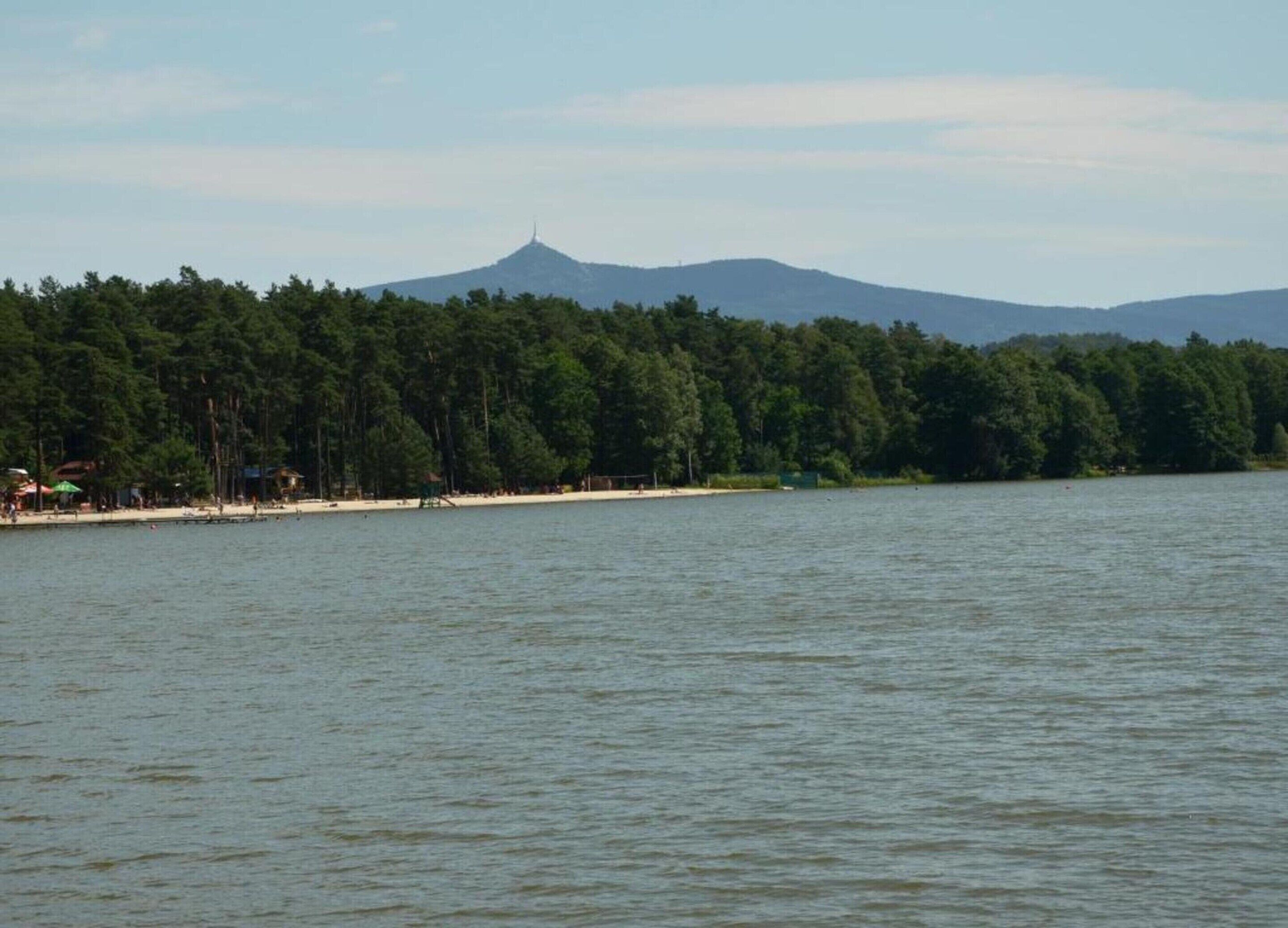 A lake with a forested shoreline and a mountain in the background.