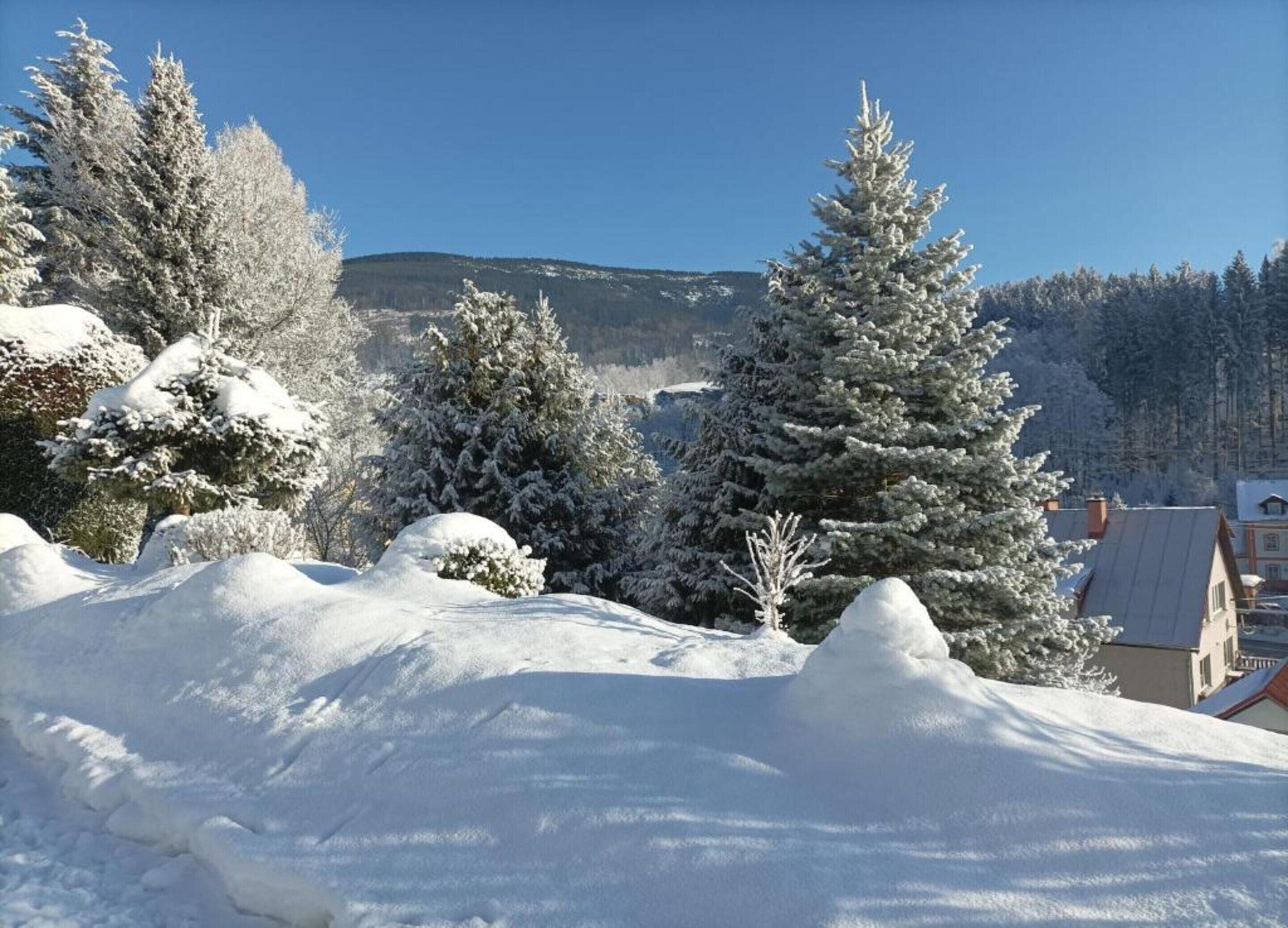 Appartement | Vue depuis l’hébergement