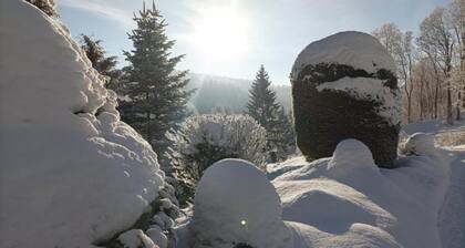 Attractive Apartment in Rokytnice nad Jizerou near Ski Area