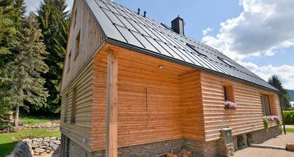 Spacious Apartment in Harrachov Near Ski Area