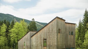Exterior - Large Chalet in Villa District, Modern and Luxurious, Large Terrace (Harrachov)