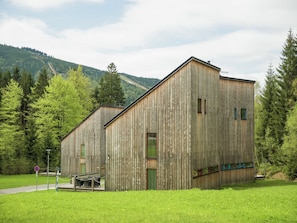 Exterior - Large Chalet in Villa District, Modern and Luxurious, Large Terrace (Harrachov)