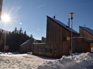 Exterior - Large Chalet in Villa District, Modern and Luxurious, Large Terrace (Harrachov)