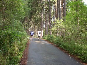 Eksteriør