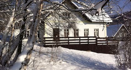 Spacious Holiday Home in Zlata Olesnice