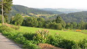 Un paysage rural avec une route, des champs verdoyants et des arbres.