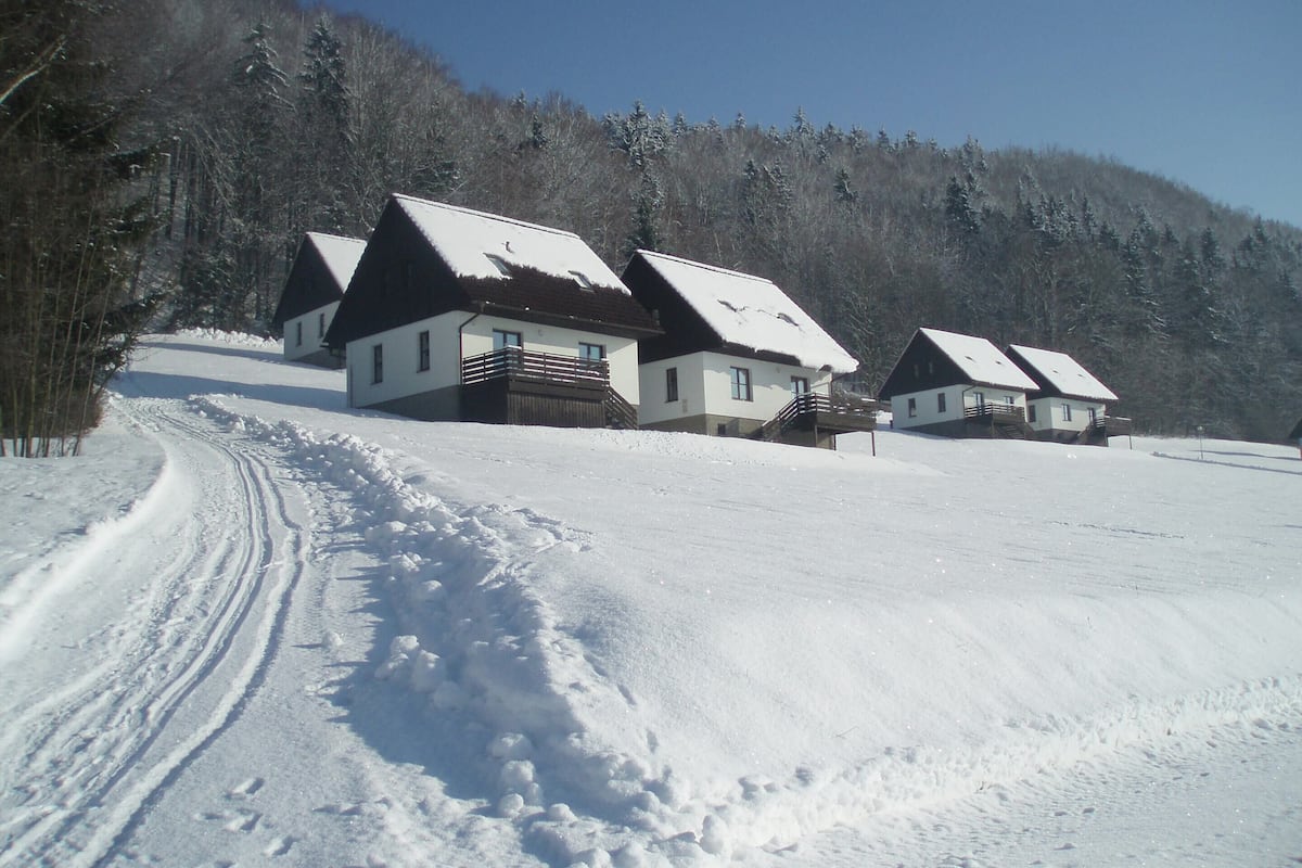 A row of chalet-style houses with steep roofs, set in a snowy landscape with a forested hill in the background.