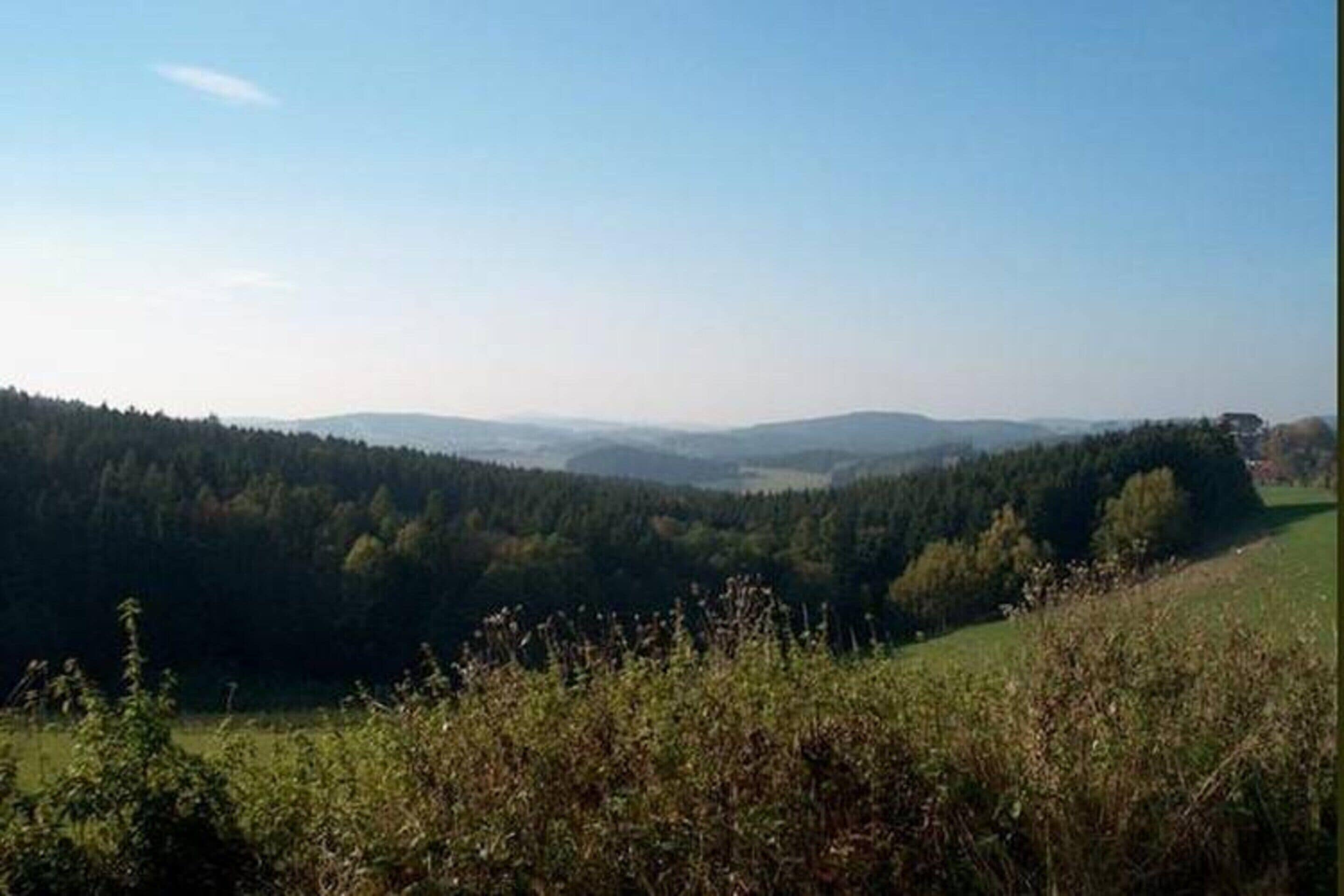 A panoramic view of a forested valley with rolling hills in the background.