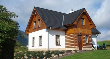 Voluminous Apartment in Bozanov near Ski Area